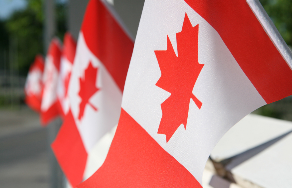 Information about the Canadian Income Tax Extension
