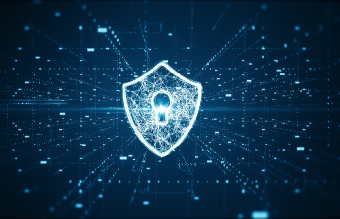 Data protection and information privacy are critical considerations for businesses.